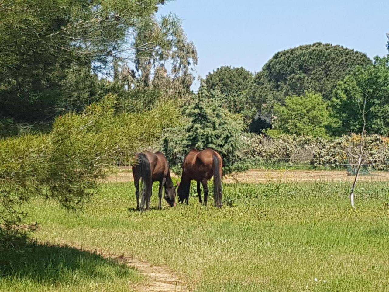 Analaya Villa Vias Bagian luar foto